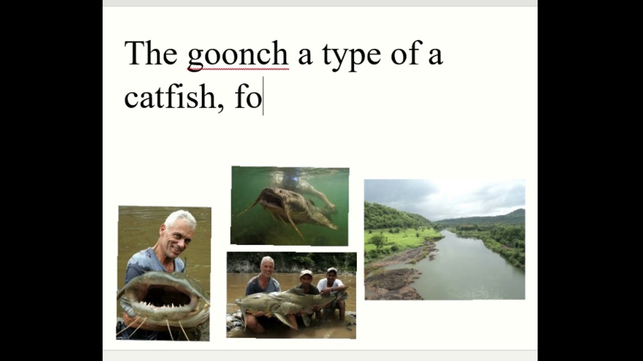 FACT ABOUT || KALI RIVER FISH