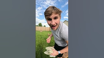 Dexcom G7 - Direct to Apple Watch with Dexcom Warrior Alex