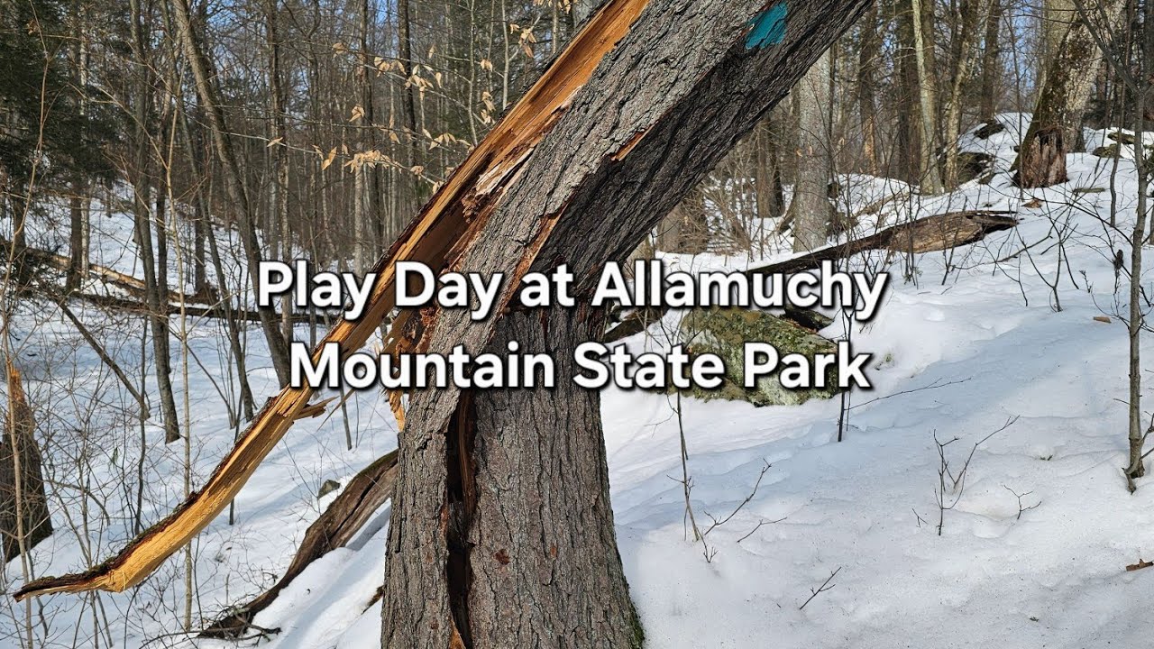 Play Day At Allamuchy Mountain State Park Treadmill Walk