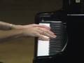 Robin Spielberg performs West Bank Serenade