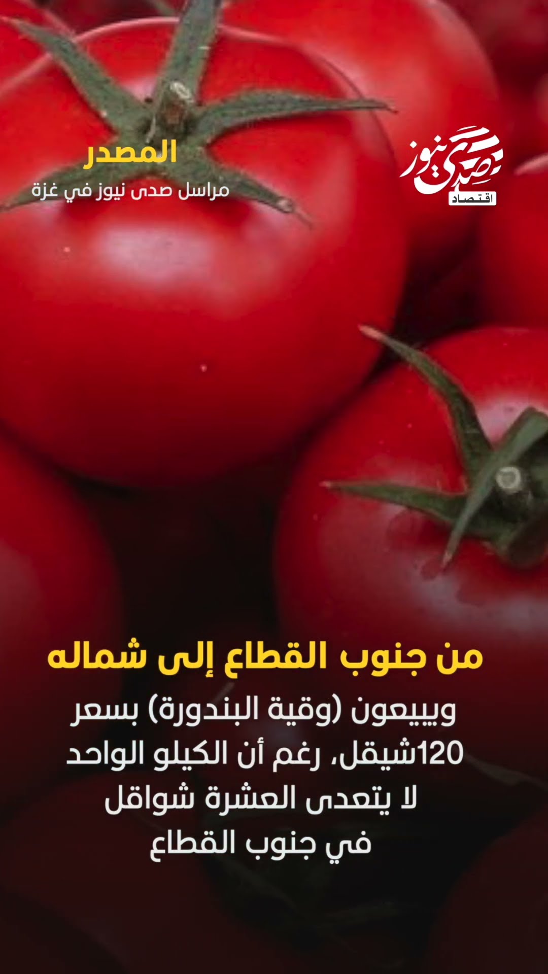 صدى نيوز | مراسل صدى نيوز: تجار الحروب ينجحون في تهريب بعض أنواع الخضار من جنوب القطاع إلى شماله