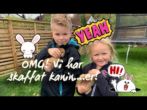 Video: Hur Man Lagar En Kanin Till Ett Barn