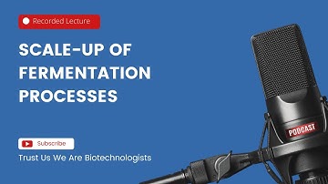 Scale-up of fermentation processes