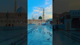 Surah Al-Jinn with Urdu translation | Verses:16-22 | #quran#Surah#unfrez #unfrez #religion #ytstudio