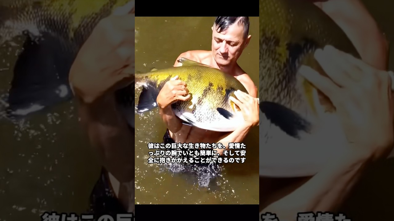 【奇跡】干上がりかけた泥水から数千匹の小魚を救出…数年後の信じられない姿がこちら🥺🐟