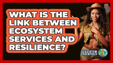 What Is The Link Between Ecosystem Services And Resilience? - Ecosystem Essentials