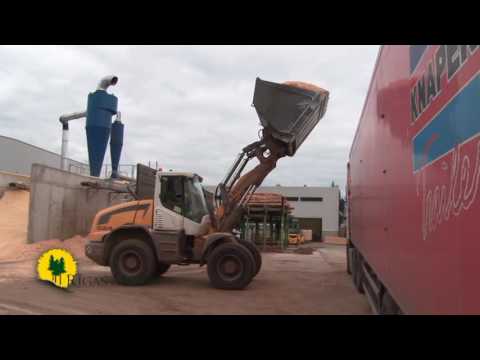 Video: Pampas Zāle - Rotājums Jebkurai Zonai