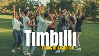 Tımbıllı (Enstrümantal) - Yeşilçam Film Müzikleri Toa