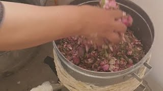 الطريقة التقليدية المكناسية لتقطير ماء الزهر والورد البلدي