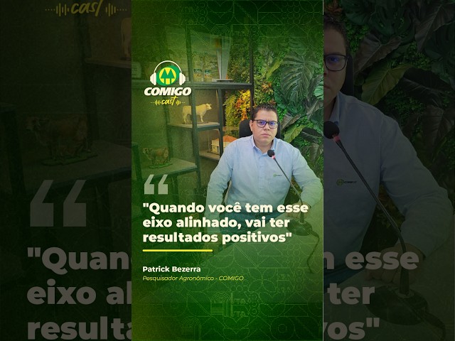 FORMAÇÃO DE PASTAGEM | As decisões antes de iniciar a semeadura