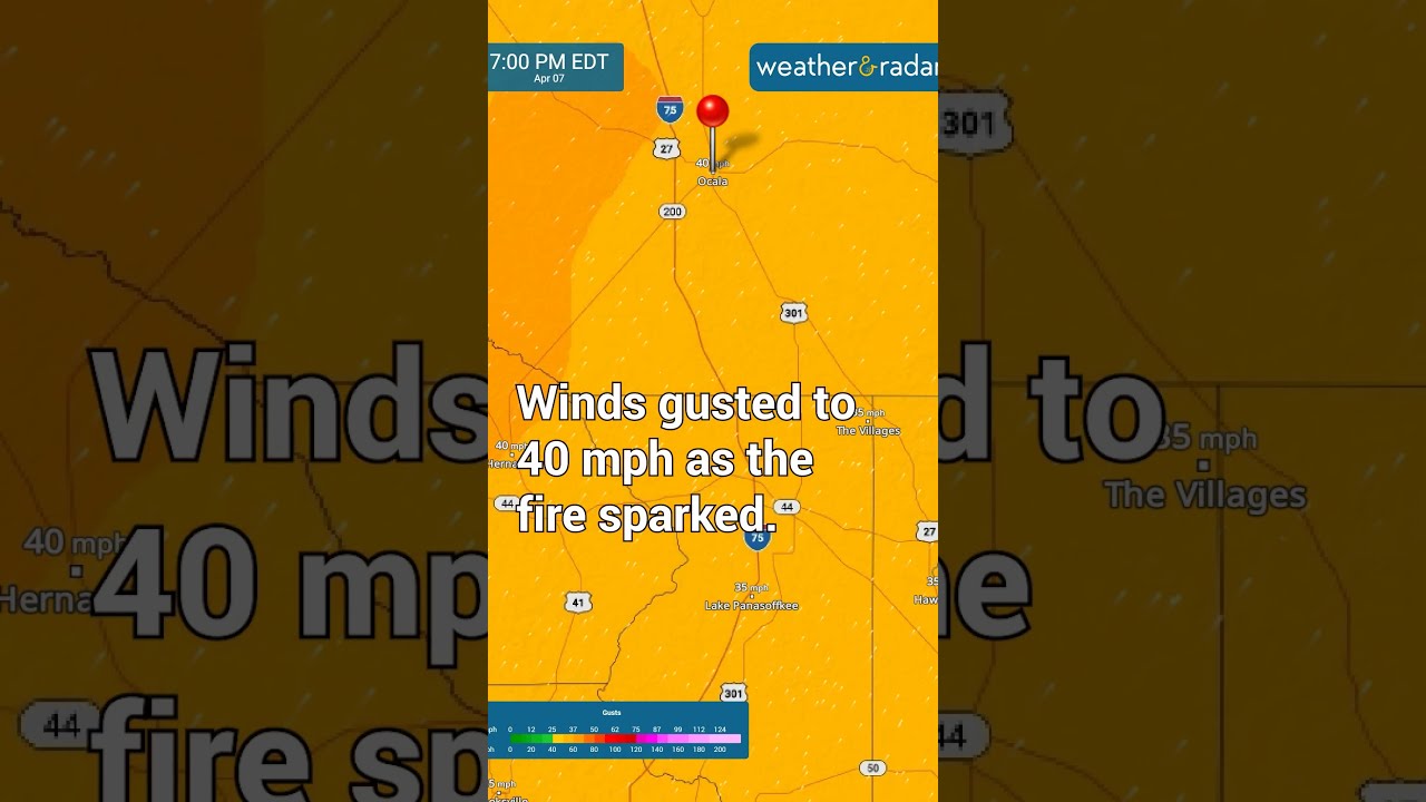 Brush fire in Ocala, Florida