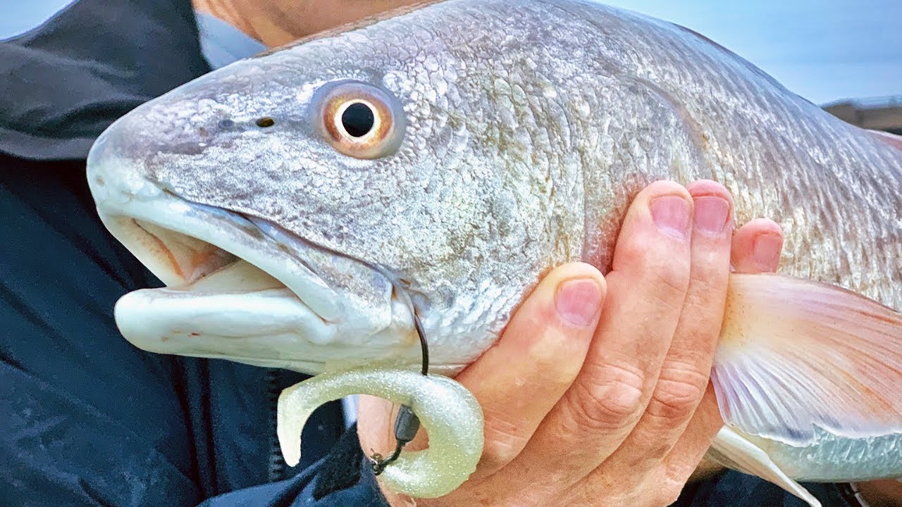 Top 5 Spring Inshore Fishing Lures (For Redfish, Trout, Snook, & Flounder)  