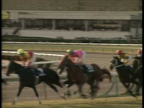 1999有馬記念 グラスワンダーvsスペシャルウィーク Mpg Youtube 1999有馬記念 グラスワンダーvsスペシャルウィーク Mpg Youtube