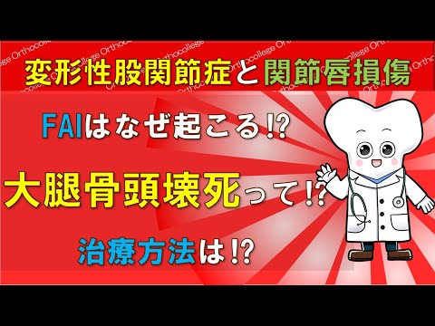 変形性股関節症とFAIや関節唇損傷、大腿骨頭壊死 治療方法は⁉ 【医師が解説】