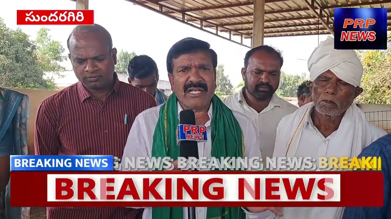 సుందరగిరిలో గొర్రెలకు,మేకలకు నట్టల నివారణ మందుల పంపిణీ ప్రారంభం...PRP NEWS 9704142433👍