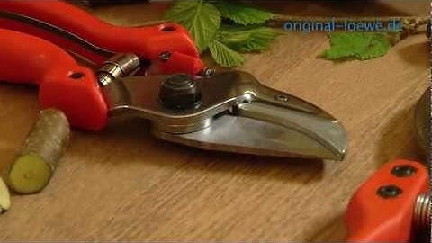 Original LÖWE Products