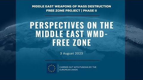 Perspectives on the Middle East WMD Free Zone