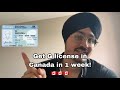 How To Get A Class G License In 1 Week Ontario Canada 2024 Hindi Urdu Driving License 