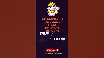 The Ultimate Fun Trivia Challenge ..That’ll Blow Your Mind!#triviachallenge #trivia#triviaquiz#quiz
