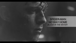spider-man: no way home: blood in the water