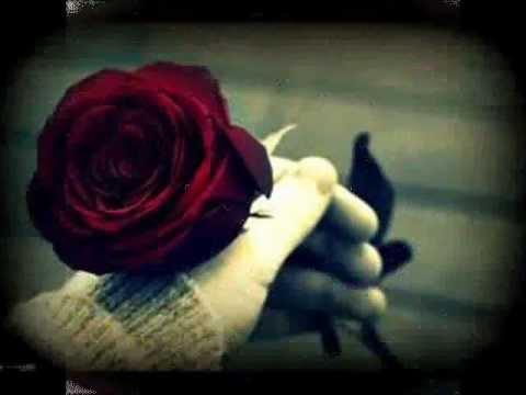 المدرسة الحمدانية بنات ثامن