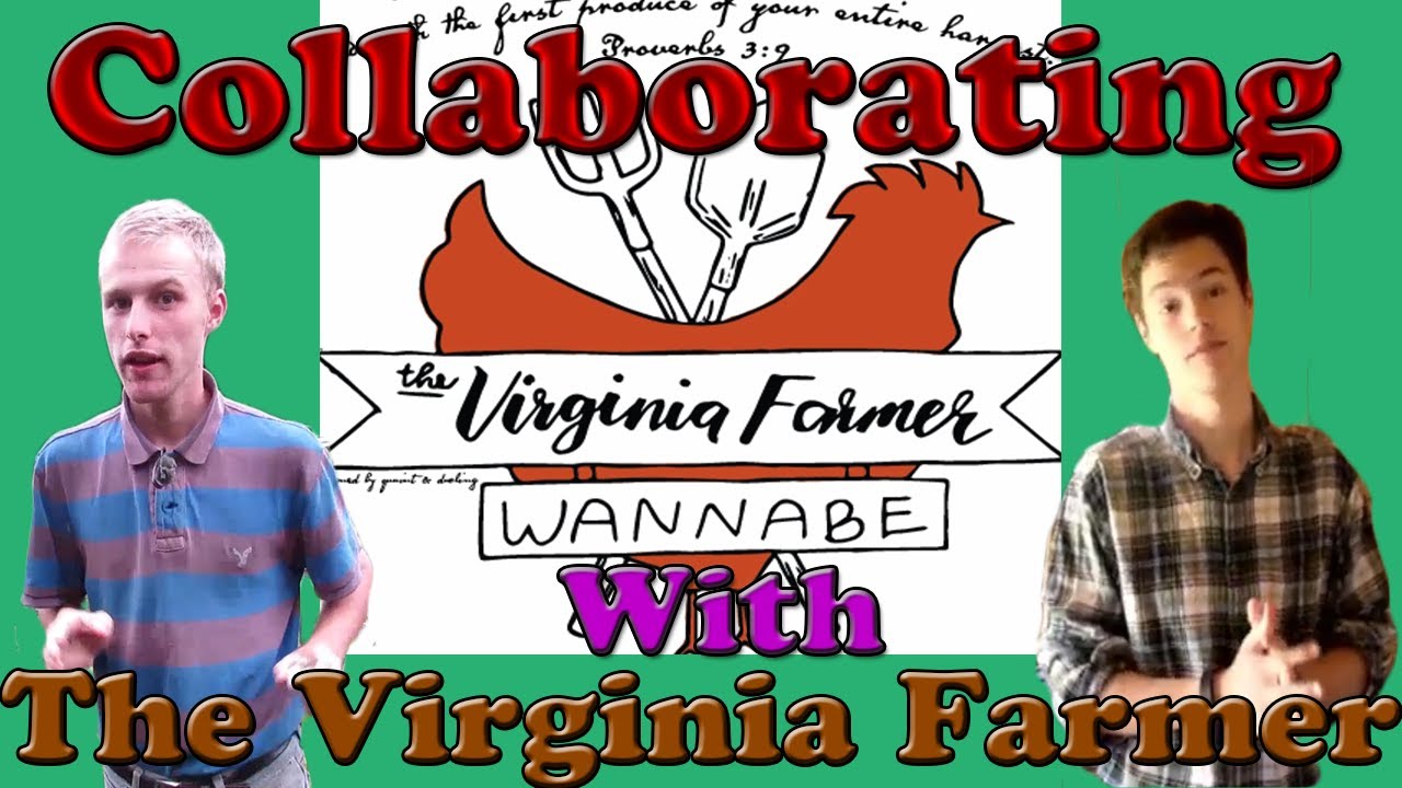 Collaborating With The Virginia Farmer