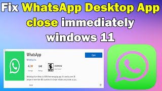 How to Fix WhatsApp Desktop App close immediately windows 11 screenshot 3