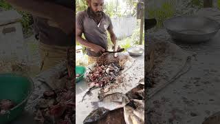 Cutting Small Korali Fish | Cutting for Curry | 2023