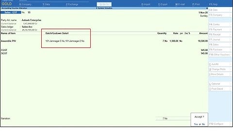 Tally Add On : Batch Godown Detail On Front Screen of Voucher in Tally Prime Software.