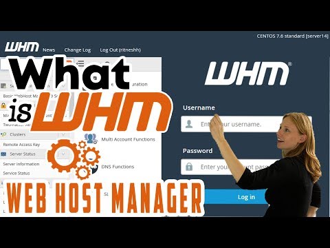 What is WHM and how to access WHM [Step by Step] ☑️