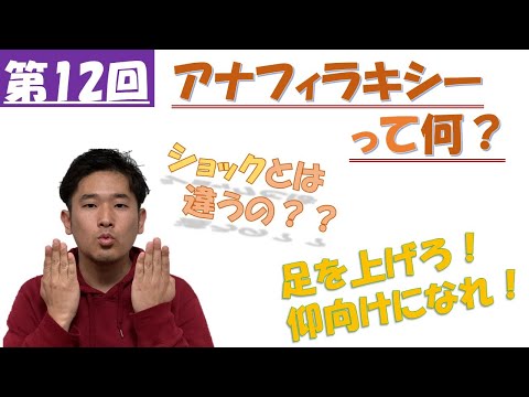 【予防は不可能！アナフィラキシーとは？】なぜ起こるのか、どんな症状が出るのか、原因は何なのか、起きたらどうすればいいのかも解説！ vol.12