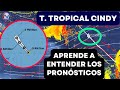 T. TROPICAL CINDY. APRENDE a INTERPRETAR un Pronóstico de Intensidad