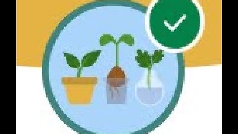 Account Engagement for Targeted Audiences - All Challenges in 1 video ! || Salesforce