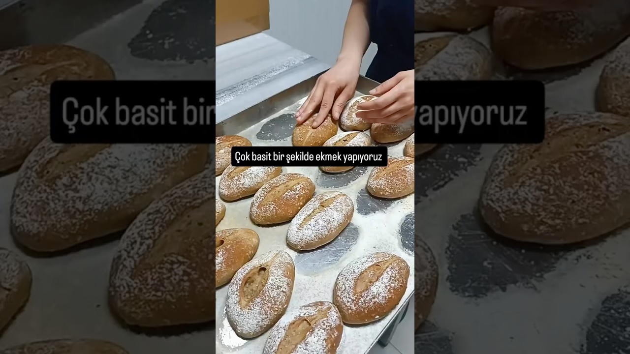 Evde kolay ekmek yapımı tarifi #shortvideo #tarif #ekmektarifi #ekşimayalıekmek #ekşimaya #çavdar Evde kolay ekmek yapımı tarifi #shortvideo #tarif #ekmektarifi #ekşimayalıekmek #ekşimaya #çavdar