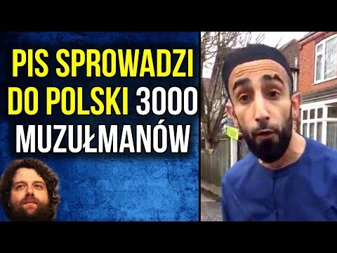 PIS Masowo Sprowadza Imigrantów Polski - Komentator
