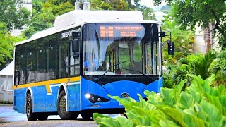 The Great Sell-Off & The Stand With Ronnie Walk Tomorrow