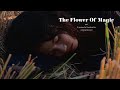 The Flower Of Magic Short Film Trailer