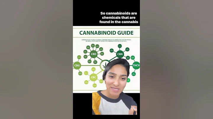 Cannabinoid Knowledge | Understanding Cannabinoids | THC, CBD, CBG, CBN: What’s the Difference?