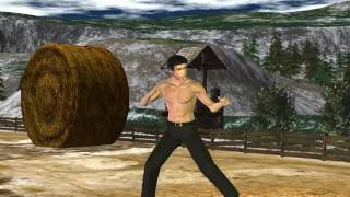 Bruce Lee vs Cock (Брюс Ли и Петух) Bruce Lee vs Cock (Брюс Ли и Петух)