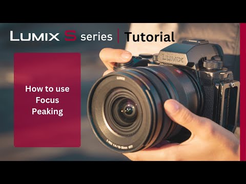 How to use Focus Peaking on the LUMIX S5II & S5IIx