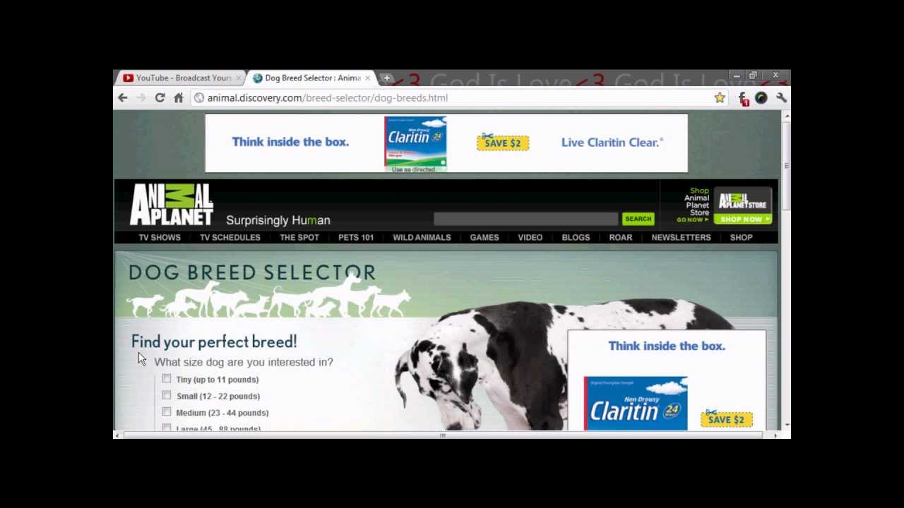 Dog Breed Selector YouTube dog-breed-selector-youtube