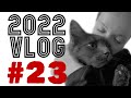 Vlog #23 - 2022