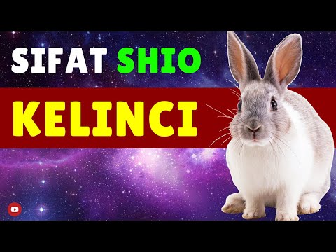 Video: Apa arti Kelinci dalam zodiak Cina?