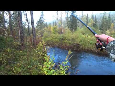 Таёжная рыбалка на Речке/ Осенний Клёв Хариуса/ Сошёл КРУПНЫЙ я его Подкараулил и Поймал!!!