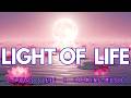 Light Life Calm Meditation Music For Deep Sleep Pure Awareness 5 Hours mp3