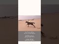 سباق فرسان همام بنجران و فوز ناجي بن لحول الهمامي على صهوة الحصان الفندم 