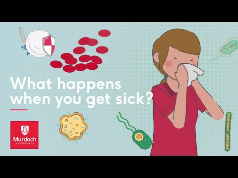 What Happens When You Get Sick