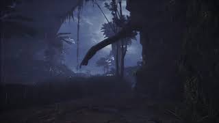 [Monster Hunter: World] Ancient Forest Rainfall Ambience