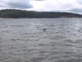 Freediving bottlerocket in the north sea bokenaes sweden