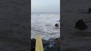 Samudra Ki Vishal Laharshorts 